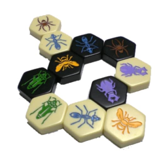Hive