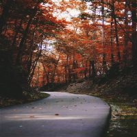 herfst_pad
