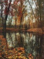 herfst_water